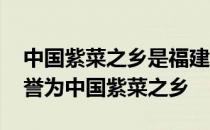 中国紫菜之乡是福建省霞浦县吗 蚂蚁新村被誉为中国紫菜之乡