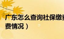 广东怎么查询社保缴费（广东怎么查询社保缴费情况）