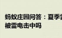 蚂蚁庄园问答：夏季雷电多发在室内也可能会被雷电击中吗