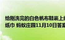 给刚洗完的白色帆布鞋裹上纸巾，能防止它变黄，主要因为纸巾 蚂蚁庄园11月10日答案最新