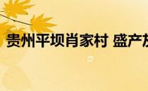 贵州平坝肖家村 盛产灰鹅蚂蚁新村答案4.13