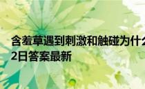 含羞草遇到刺激和触碰为什么能够自动合拢 蚂蚁庄园11月22日答案最新