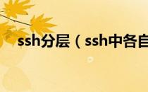 ssh分层（ssh中各自处理哪一层的实现）