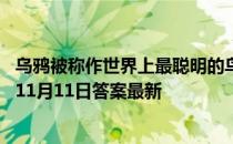 乌鸦被称作世界上最聪明的鸟之一，主要是因为它 蚂蚁庄园11月11日答案最新