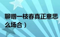 聊赠一枝春真正意思（聊赠一枝春可以用于什么场合）