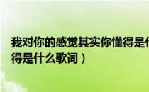 我对你的感觉其实你懂得是什么歌（我对你的感觉其实你懂得是什么歌词）