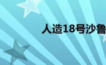 人造18号沙鲁温床五彩缤纷