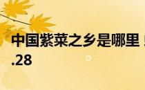 中国紫菜之乡是哪里 蚂蚁新村今日答案最新4.28