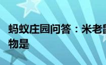 蚂蚁庄园问答：米老鼠和唐老鸭中米老鼠的宠物是