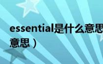 essential是什么意思翻译（essential是什么意思）