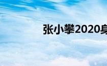 张小攀2020身价（张小攀）