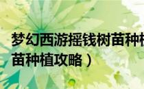 梦幻西游摇钱树苗种植攻略（梦幻西游摇钱树苗种植攻略）