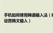 手机如何使用韩语输入法（哪个输入法可以打韩语手机怎么设置韩文输入）