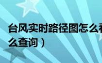 台风实时路径图怎么看（玲玲台风实时路径怎么查询）