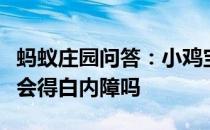 蚂蚁庄园问答：小鸡宝宝考考你只有老年人才会得白内障吗