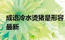 成语冷水烫猪是形容 蚂蚁庄园10月16日答案最新