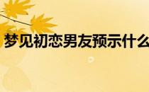 梦见初恋男友预示什么意思（梦见初恋男友）