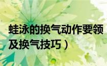 蛙泳的换气动作要领（【蛙泳】动作要领图解及换气技巧）