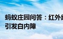 蚂蚁庄园问答：红外线体温计会导致眼部灼伤引发白内障