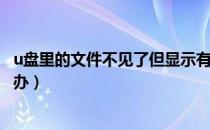 u盘里的文件不见了但显示有内存（u盘里的文件不见了怎么办）