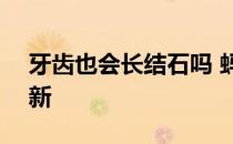 牙齿也会长结石吗 蚂蚁庄园9月30日答案最新