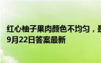 红心柚子果肉颜色不均匀，是因为被打针染色了吗 蚂蚁庄园9月22日答案最新