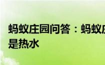 蚂蚁庄园问答：蚂蚁庄园粽子下锅时用冷水还是热水