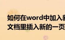 如何在word中加入新的一页（怎样在Word文档里插入新的一页）