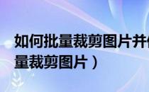 如何批量裁剪图片并保存为jpg文件（如何批量裁剪图片）