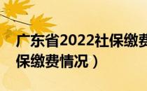 广东省2022社保缴费比例（广东怎么查询社保缴费情况）