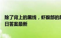 除了背上的黑线，虾腹部的黑线需要去掉吗 蚂蚁庄园9月16日答案最新