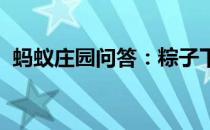 蚂蚁庄园问答：粽子下锅时最好用蚂蚁庄园