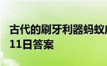 古代的刷牙利器蚂蚁庄园 古代用什么刷牙4月11日答案