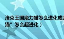 洛克王国魔力猫怎么进化成武斗灵猫视频（洛克王国“魔力猫”怎么超进化）