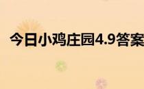 今日小鸡庄园4.9答案 今日小鸡庄园的答案