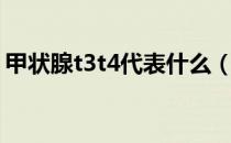 甲状腺t3t4代表什么（甲状腺t3t4代表什么）