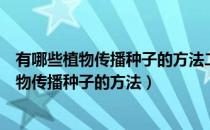 有哪些植物传播种子的方法二年级（二年级你还知道哪些植物传播种子的方法）