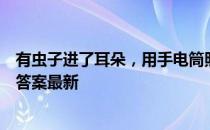 有虫子进了耳朵，用手电筒照是好办法吗 蚂蚁庄园8月19日答案最新