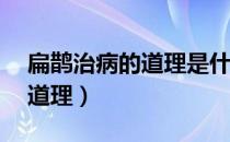 扁鹊治病的道理是什么10个字（扁鹊治病的道理）