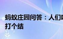 蚂蚁庄园问答：人们吃的海带为什么有时候会打个结