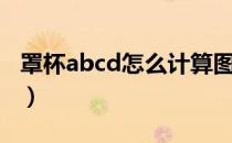 罩杯abcd怎么计算图解（罩杯abcd怎么计算）