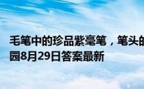 毛笔中的珍品紫毫笔，笔头的制作原料出自哪种动物 蚂蚁庄园8月29日答案最新