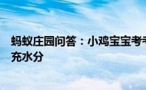 蚂蚁庄园问答：小鸡宝宝考考你运动锻炼过程中应该如何补充水分