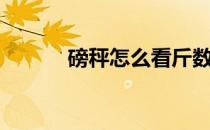 磅秤怎么看斤数（磅秤怎么看）