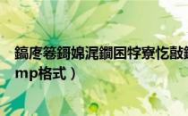 鎬庝箞鎶婂浘鐗囨牸寮忔敼鎴恇mp（如何将jpg图片变为bmp格式）