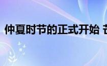 仲夏时节的正式开始 芒种蚂蚁新村答案最新