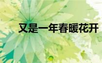 又是一年春暖花开（又是一年春草绿）