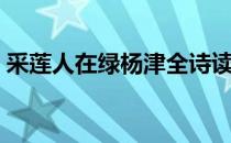 采莲人在绿杨津全诗读音（采莲人在绿杨津）