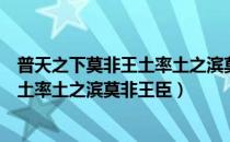 普天之下莫非王土率土之滨莫非王臣翻译（普天之下莫非王土率土之滨莫非王臣）