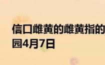 信口雌黄的雌黄指的是什么 信口雌黄蚂蚁庄园4月7日